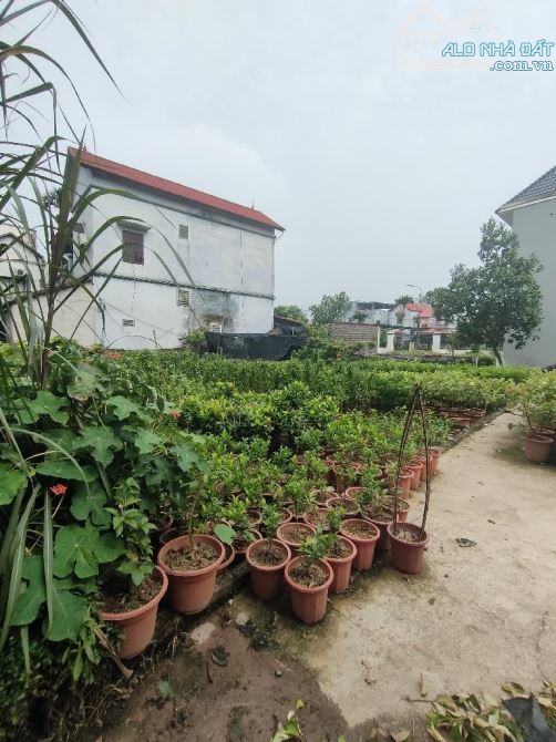 Bán Gấp 98m MT 6,4m Thôn Đại- Phụng Công Cây Cảnh- Ráp Ecopark - Phát Triển từng ngày