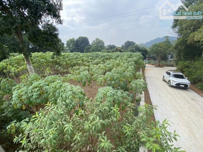 Bán  1.280m² Đất Phường Tùng Thiện Hà Nội - Đễ Phân Lô, Thích Hợp Nhà Vườn Nghỉ
