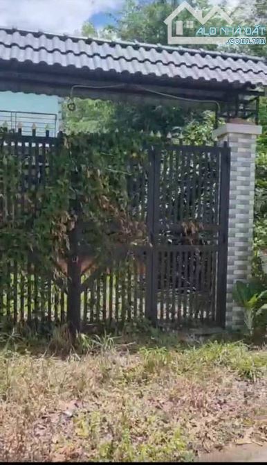 Bán đất thổ cư mặt tiền Trương Thị Kiện xã Thái Mỹ Củ Chi TPHCM, DT: 7x29m.