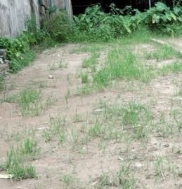 NHỎ TIỀN-GẦN KCN QUANG MINH,CHỢ,TRƯỜNG-SỔ CẤT KÉT-DÂN CƯ ĐÔNG ĐÚC
