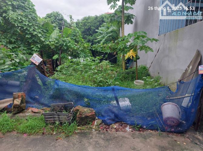 Bán đất Quang Minh 89m2,mt4m, 4.35 tỷ, Hà Nội, ô tô nhỏ.
