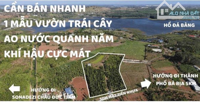 VƯỜN DỪA TUYỆT ĐẸP MẶT TIỀN ĐƯỜNG NHỰA, GẦN HỒ ĐÁ BÀNG, LIỀN KỀ CAO TỐC, GIÁ. CỰC RẺ
