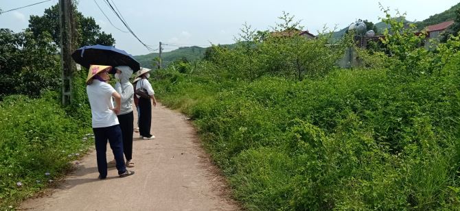 Bán đất Tân Hoa Lục Ngạn - Bắc Giang DT 159m2 Mt 4,65m giá chỉ 550tr - 1