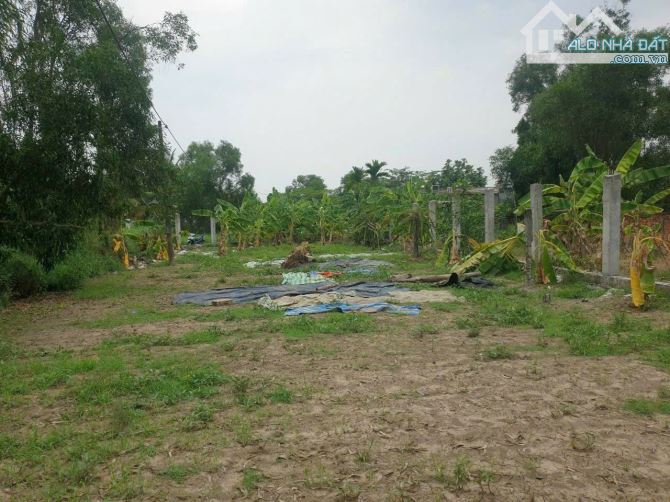 Bán đất dân cư 1.455m2 phù hợp phân lô - 1