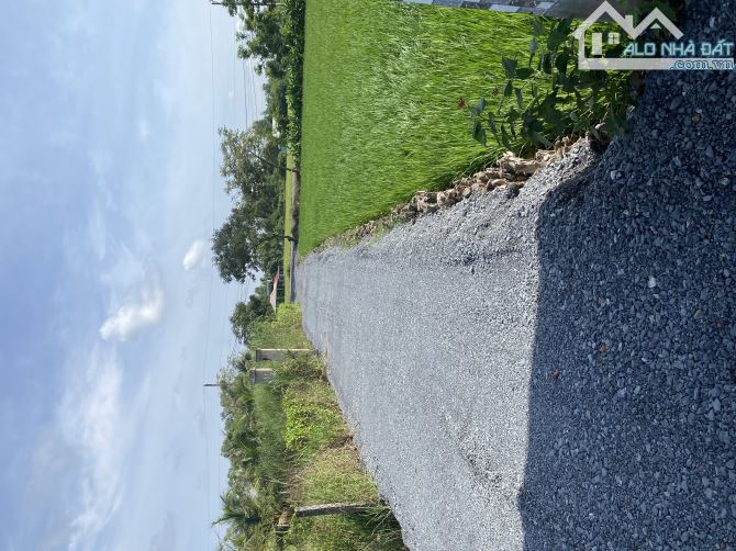 Chủ ngộp bán rẻ 1000m2 QH dân cư ngang 45m - 1