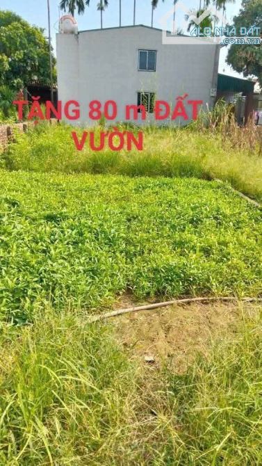 Chính chủ bán mảnh đất Văn Giang Hưng Yên - 1