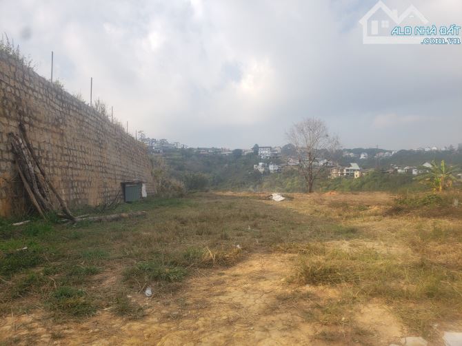 ĐẤT LỚN HƠN 2 SÀO CÓ VIEW QUY HOẠCH THỔ CƯ ĐƯỜNG HOÀNG HOA THÁM ĐÀ LẠT - 1