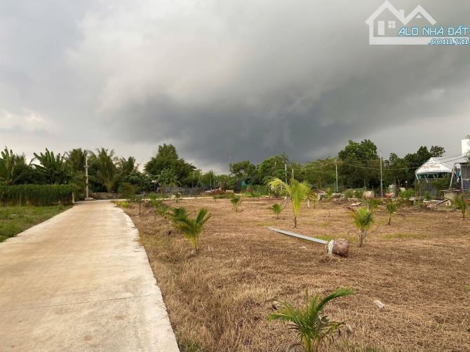 1000m2 Cẩm Đường ( Xuân Đường mới) Quy hoạch đất ở trạng hỗ trợ lên thổ cư  Cách cổng Sân - 1