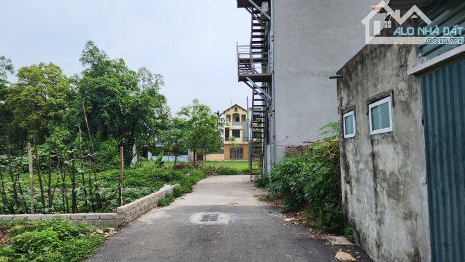 CẦN BÁN GẤP 80M2 ĐẤT TRŨNG VỠ - TÂN HỘI, SÁT VIN, GIÁ ĐẦU TƯ. - 1