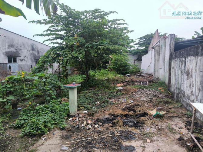 Bán đất 1 sẹc đường Lò Lu, Quận 9 giá 10,5 tỷ/281m2 (12mx23m) - 1