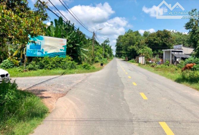 CẦN VỐN LÀM ĂN, BÁN ĐẤT 319M2, CÂY BÀI, PHƯỚC VĨNH AN, 550TR - 1