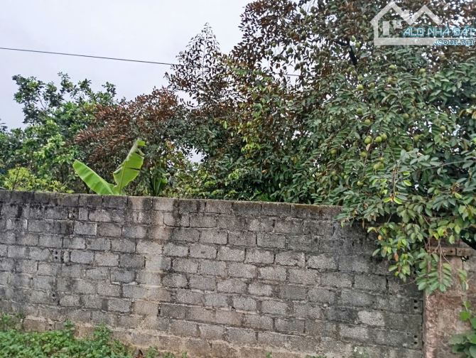 Bán đất Ao Vua, Tản Lĩnh, Suối Hai mới, 607m, mt 22m, 200m tc, nở hậu, gần svđ, chỉ 4.4tỷ - 1
