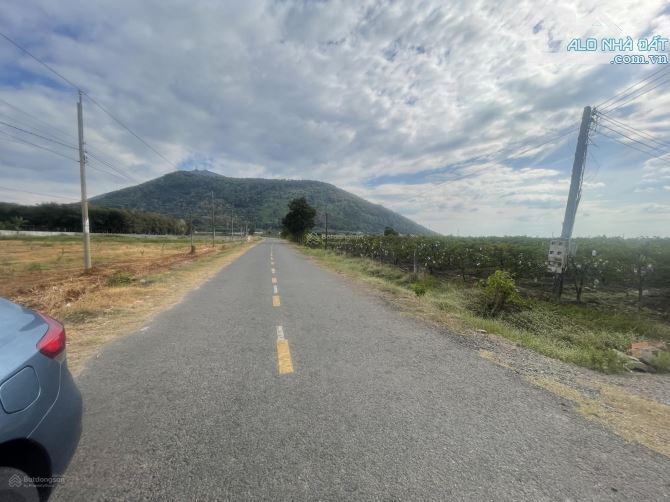Cho thuê đất nông nghiệp ở Tân Bình, TP. Tây Ninh - 1