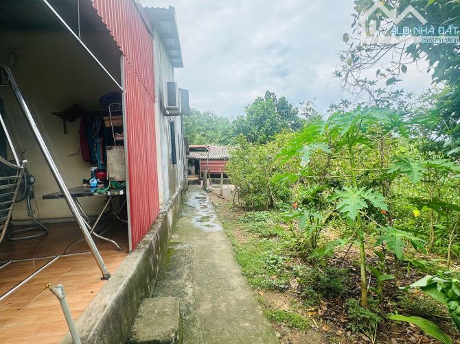 720M2 VIEW CÁNH ĐỒNG, TẶNG NHÀ KIÊN CỐ - 1