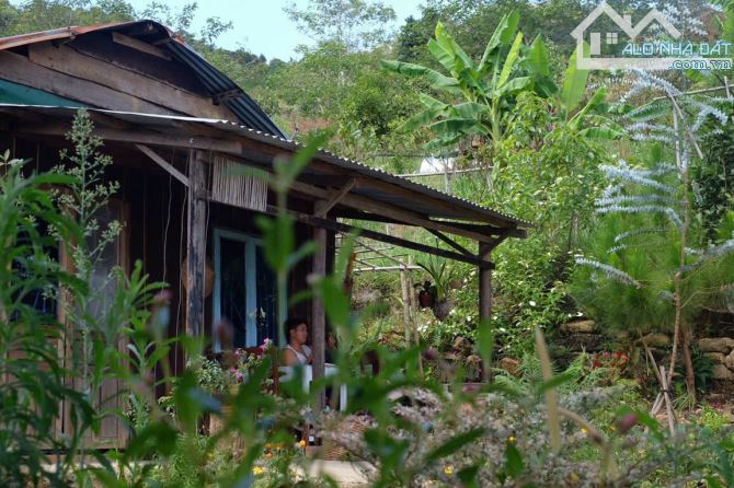 Săn mây tại gia với mức giá chỉ hơn 2 tỷ - Cầu Đất - Đà Lạt - 1