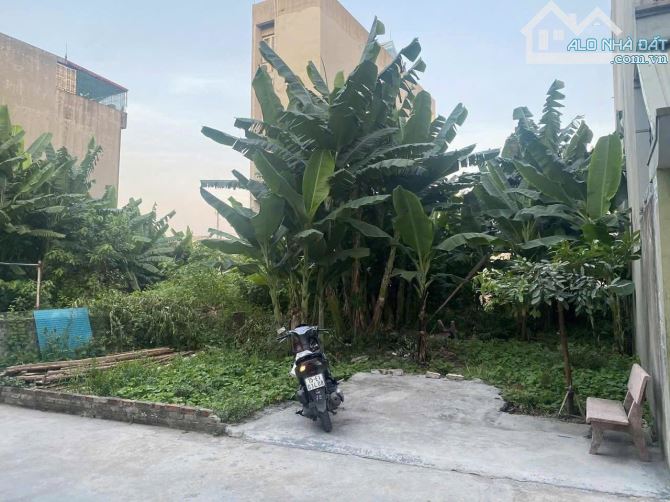 bán Lô Đất khu phân lô Bùi Thị Từ Nhiên, Hải An - Diện tích : 169m ngang 9 - Hướng : TTT - - 1