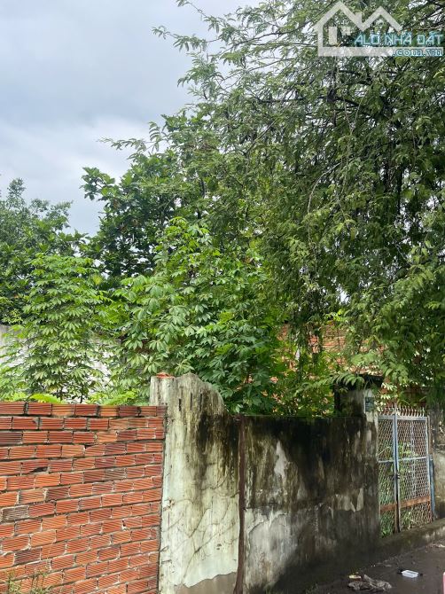 Bán đất. Lã xuân oai. p long Trường thủ đức. Dt 10500m2. giá 225 tỷ - 1