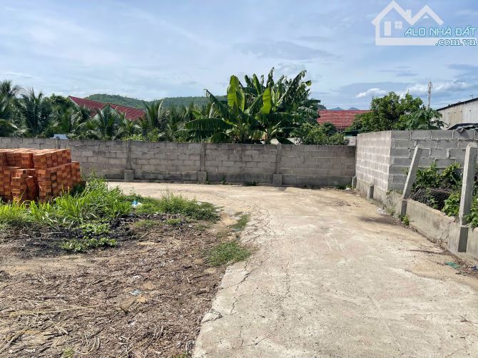 Bán Đất Thôn Thanh Minh 3, xã Diên Lạc, giá tốt - 1