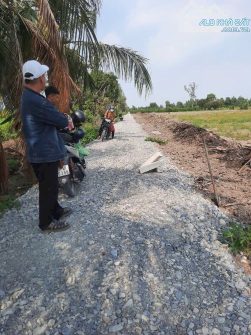 Quá rẻ, 508m2 đất vườn 10.5 x 48m view kênh chỉ 320tr - 1