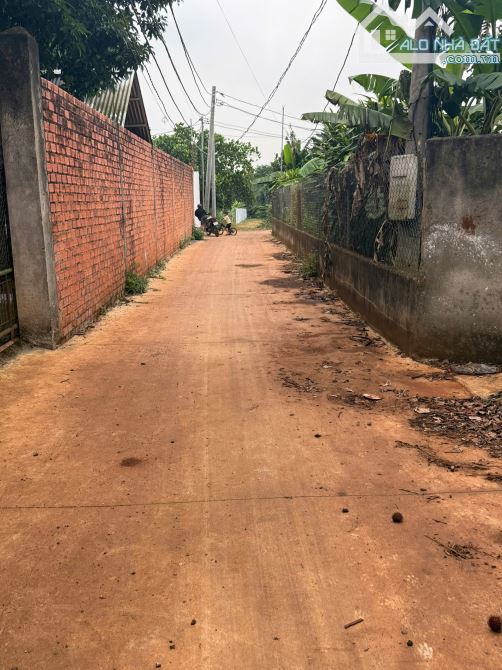 Bán đất tại xã Lang Minh, Xuân Lộc, Đồng Nai - 1