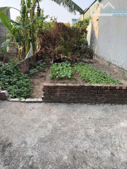 Bán Đất Đa Tốn Ngọc Động 40m - Ô tô Vào Tận Nơi - Vị Trí Hàng Xóm VinHome - giá 3.25 tỷ - 1