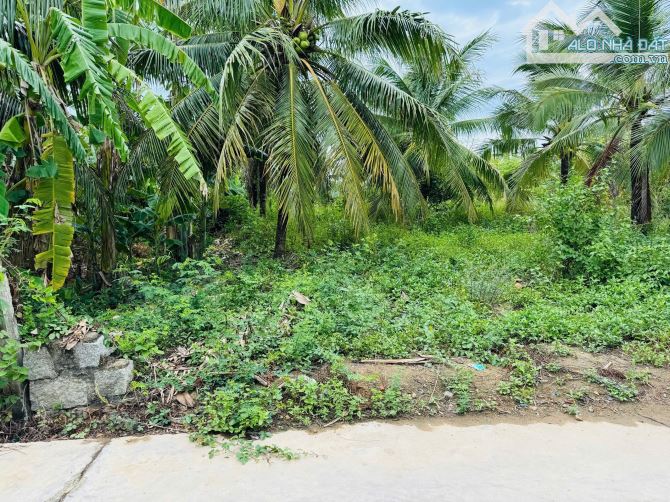 Kẹt tiền bán gấp đất Ninh Lộc Ninh Hoà - 1
