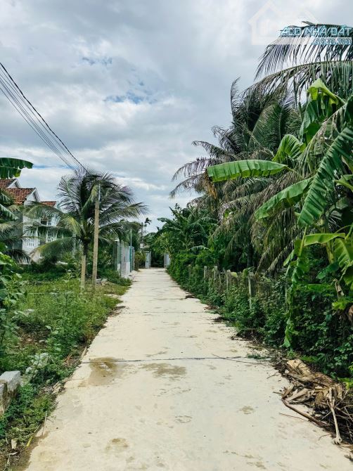 Cần tiền bán gấp 2 lô đất Thôn Mỹ Lợi- xã Ninh Lộc- Ninh Hoà giá chỉ 3,2 triệu - 1