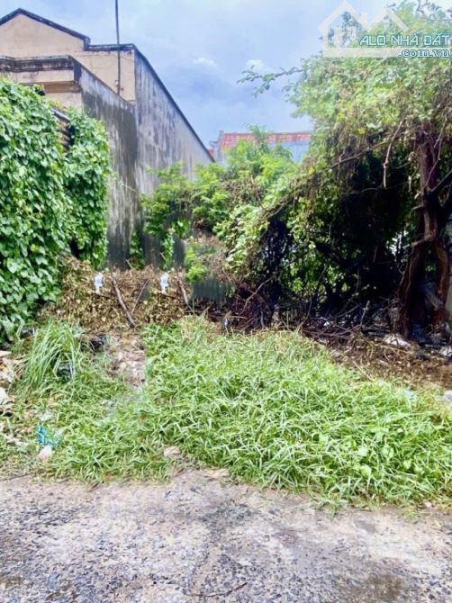Đất Vuông HXH tránh 95m2 – An phú đông 3 Q12 - 1