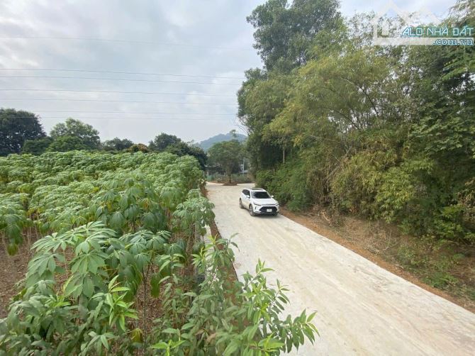 Bán  1.280m² Đất Phường Tùng Thiện Hà Nội - Đễ Phân Lô, Thích Hợp Nhà Vườn Nghỉ - 1