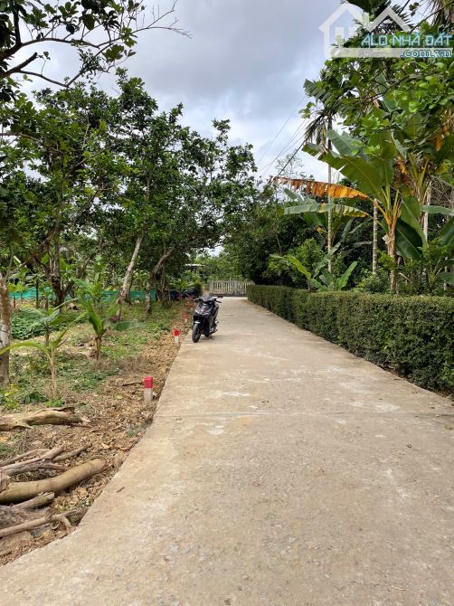 📣DÃY LÔ ĐẤT ĐẸP ,KIM LONG,  TP HUẾ , TÀI CHÍNH DƯỚI 1TỶ CHO QUÝ KHÁCH HÀNG ĐẦU TƯ 📣 - 1