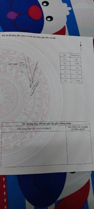 BÁN ĐẤT MẶT ĐƯỜNG BÊ TÔNG TẠ QUANG BỬU - KHỐI 7 - PHƯỜNG THÀNH NHẤT !!! - 2