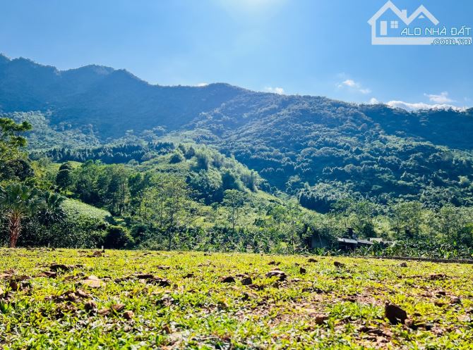 527M2 ( 9,5TR/M2 ) VIEW ĐẸP GIÁ TỐT LÀM NHÀ VƯỜN XỊN - 6