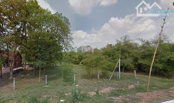 Lô đất đẹp 2300m² MT Đỗ Đăng Tuyển, Củ Chi - 2