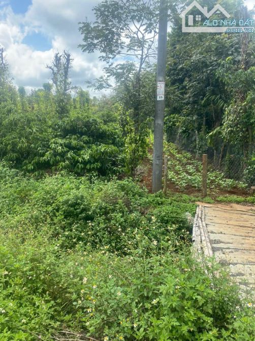 4000m2 MT đường Tránh HCM Hòa Đông - 3
