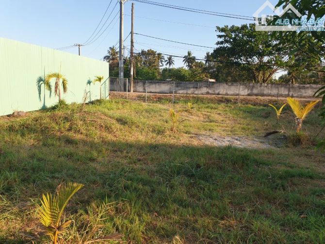 Bán đất giá rẻ tại Bình Chánh 798m2 phù hợp phân lô - 2