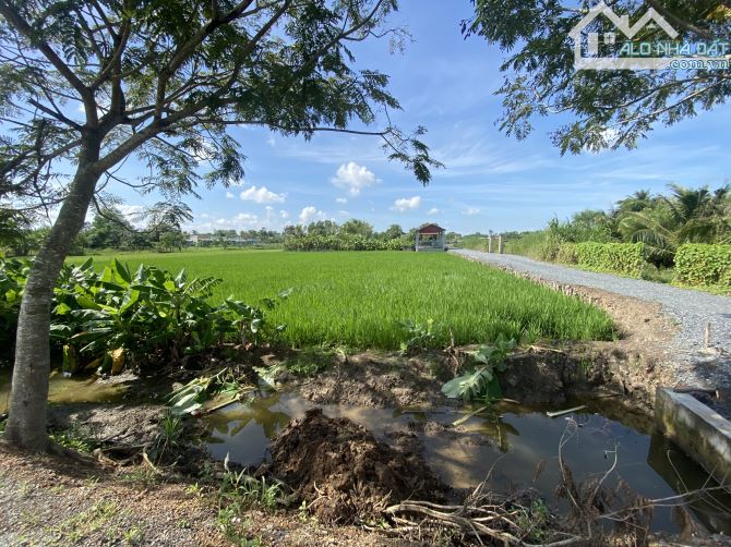 Chủ ngộp bán rẻ 1000m2 QH dân cư ngang 45m - 2