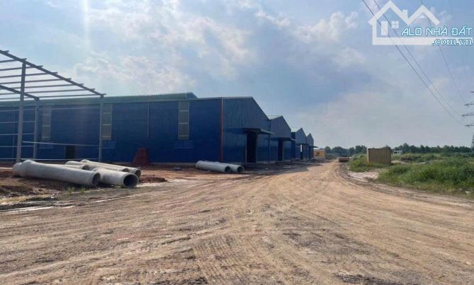 XT492  🆘CHO THUÊ KHO 3.500m2 Mới Xây Dựng – Tại CNN Long Thành _Đồng Nai. - 2