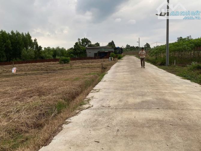 1000m2 Cẩm Đường ( Xuân Đường mới) Quy hoạch đất ở trạng hỗ trợ lên thổ cư  Cách cổng Sân - 2