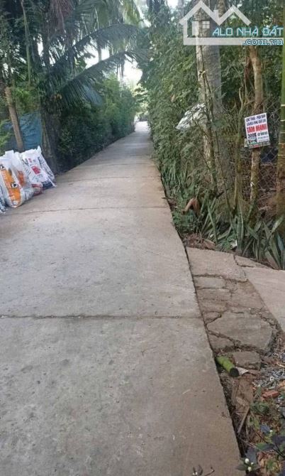 Bán 500m2 đất nền biệt thự đường oto qh đất ở - 2