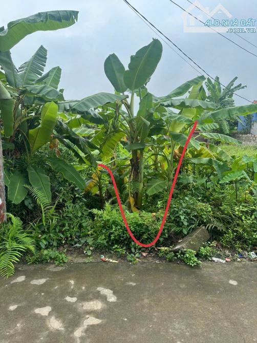 🆘 Chính chủ gửi bán lô đất siêu phẩm 100m tại phường Thiên Hương ( đường 2 🚗 tránh nhau - 2