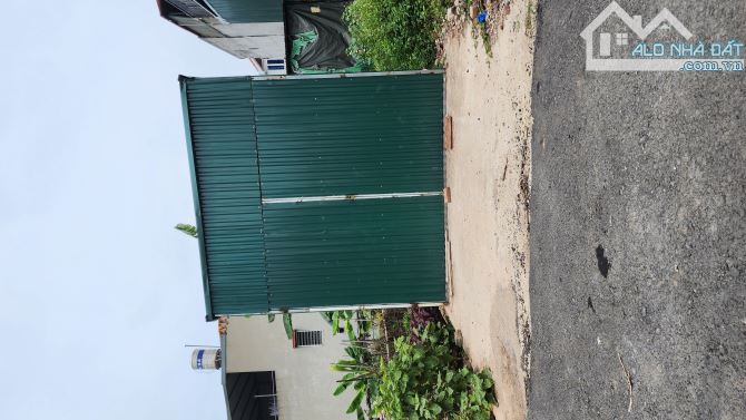 CẦN BÁN GẤP 80M2 ĐẤT TRŨNG VỠ - TÂN HỘI, SÁT VIN, GIÁ ĐẦU TƯ. - 2