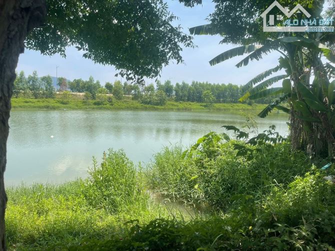 Đất trồng cây hằng năm view sông, đường bê tông 7m, 1200m2 - 2