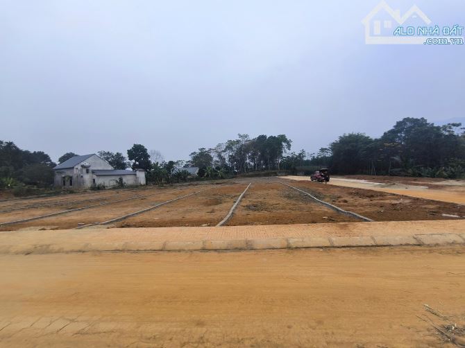 Cần bán nhanh 450m đất thổ cư đã tách ra 3 sổ tại Thạch Thành Thanh hoá - 2