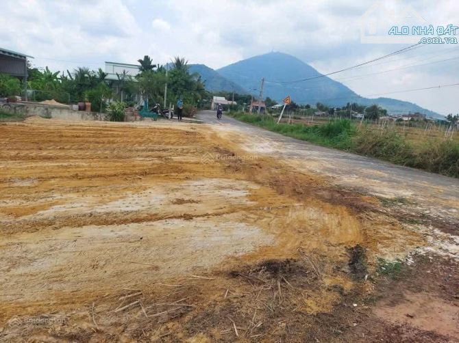 Cho thuê đất nông nghiệp ở Thạnh Tân, TP. Tây Ninh - 2