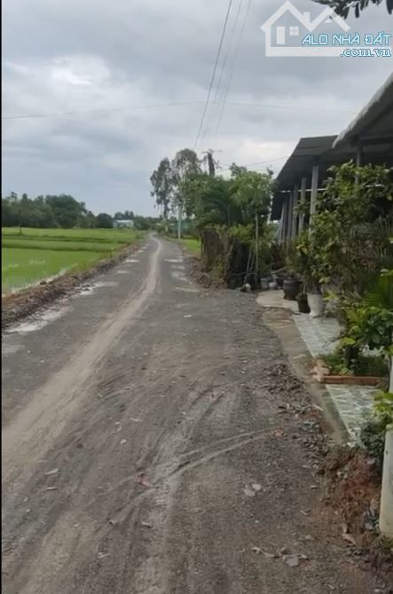Bán đất đẹp vuông vức dt lớn 275m2,Sổ hồng riêng, Giá siêu hời 2 tỷ, An Ninh Đông,Đức Hòa - 2