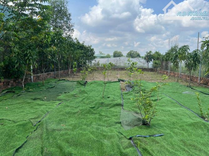 D246 CẮT LỖ 200 triệu còn 1,5 tỉ 🆘Bán đất đầu tư, gần đường Hoàng Văn Bổn ngay cây xăng m - 2