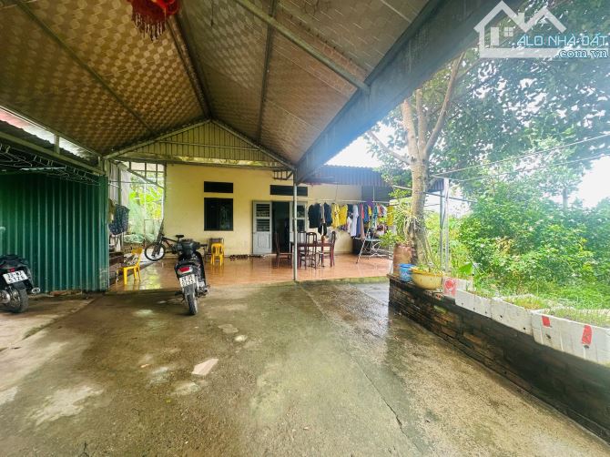 720M2 VIEW CÁNH ĐỒNG, TẶNG NHÀ KIÊN CỐ - 2