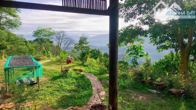 Săn mây tại gia với mức giá chỉ hơn 2 tỷ - Cầu Đất - Đà Lạt - 2
