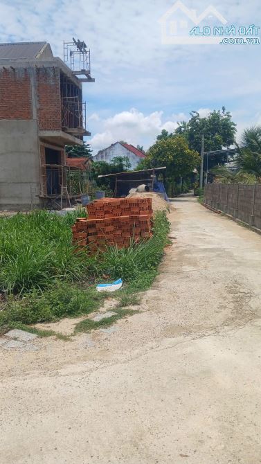Bán Đất Thôn Thanh Minh 3, xã Diên Lạc, giá tốt - 2