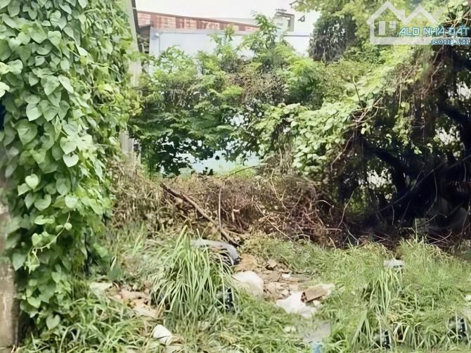 Đất Vuông HXH tránh 95m2 – An phú đông 3 Q12 - 2